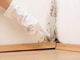 Best Attic Mold Removal in Gretna, VA